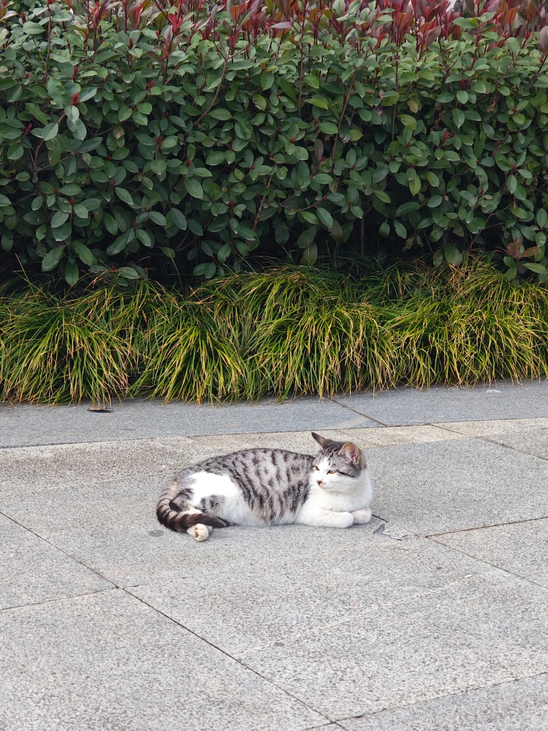 一百个赞离开图书馆