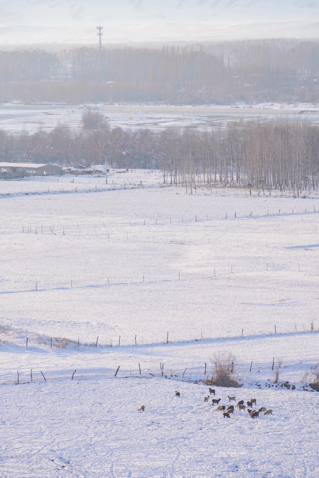 新疆踩线手记｜伊犁我最爱的冬天，原来在昭苏