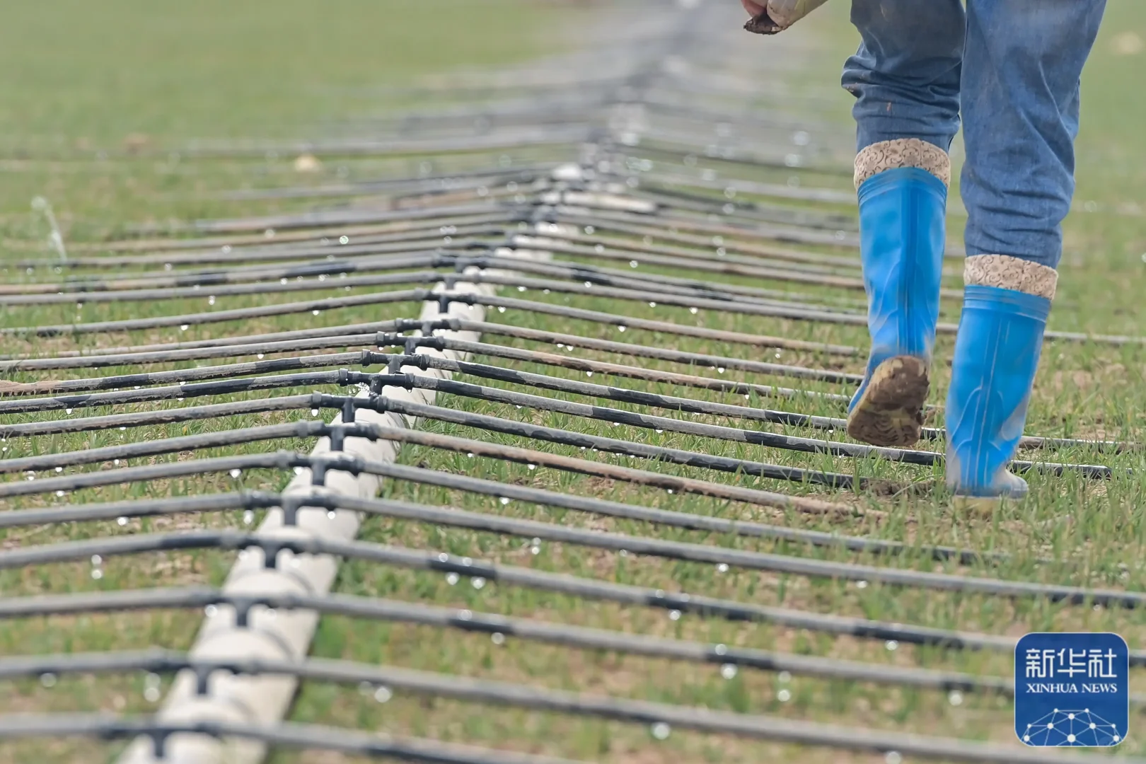 内镶式贴片滴灌带-农业灌溉的创新解决方案