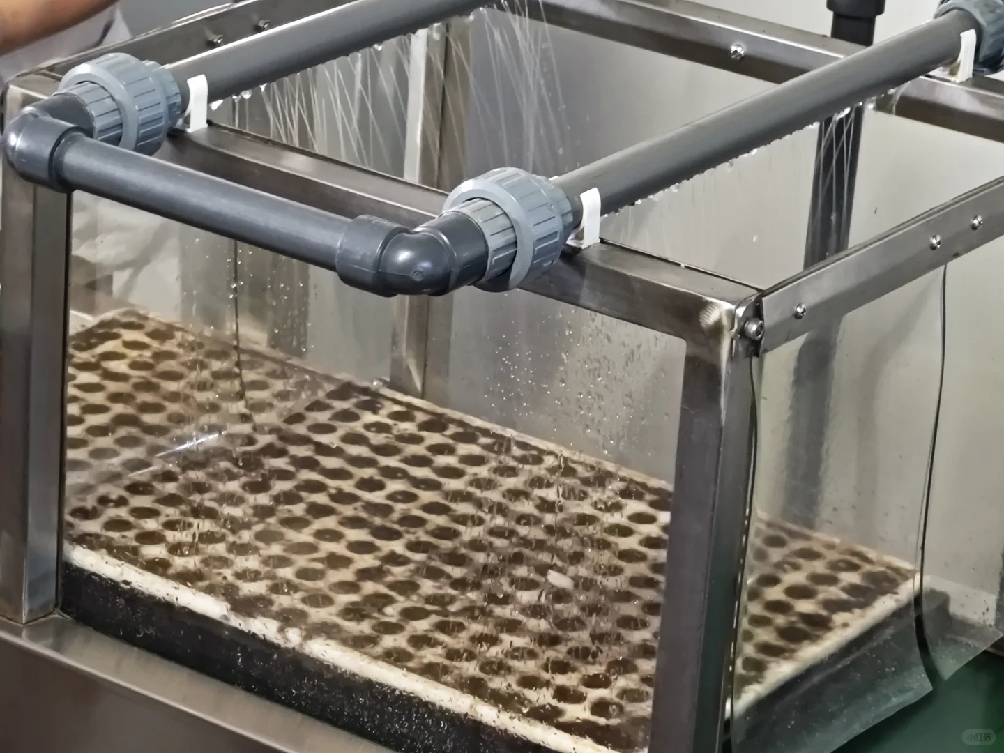 京东植物工厂参观：科技农业的硬核体验?