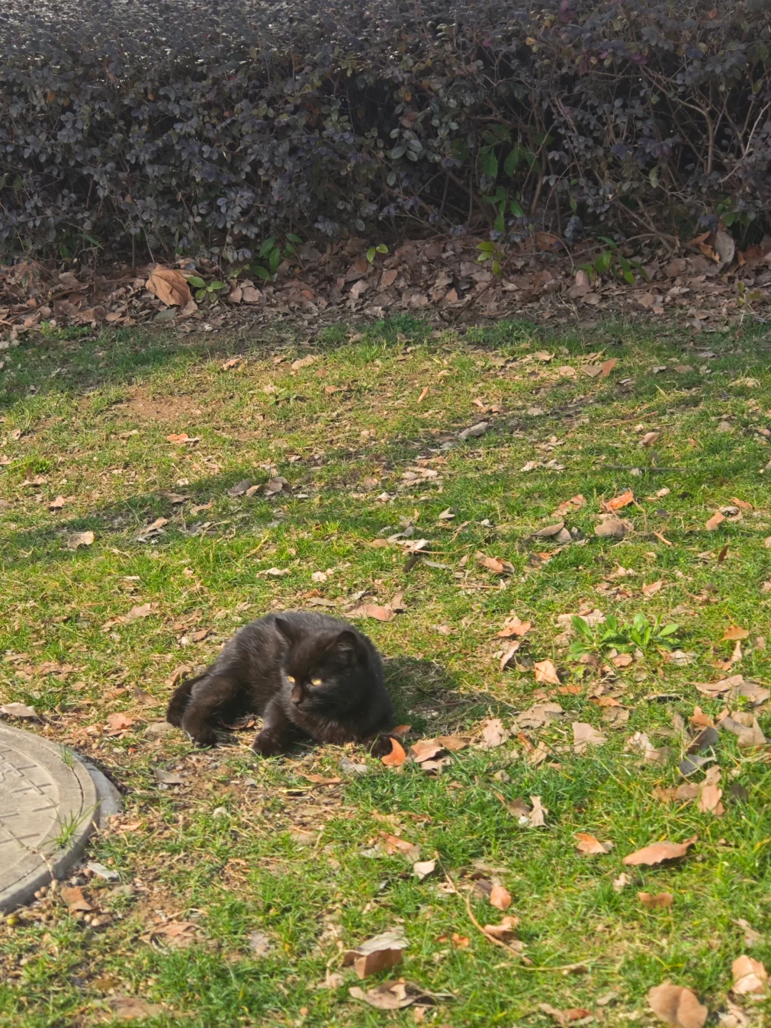 一百个赞离开图书馆