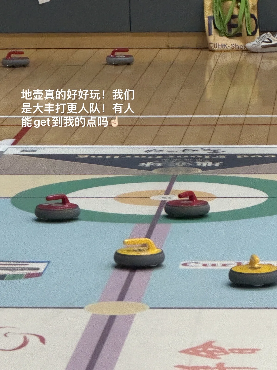 ?朋友：你真的不是住在图书馆吗？我：?‍↕️