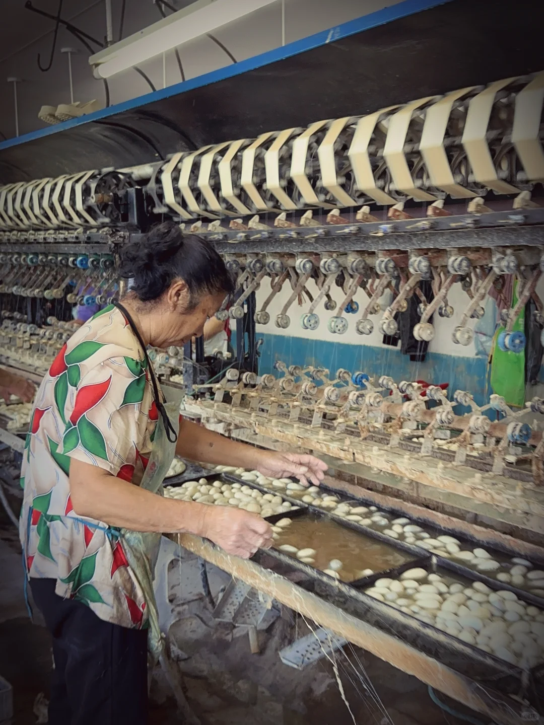 为热爱奔走的田野人