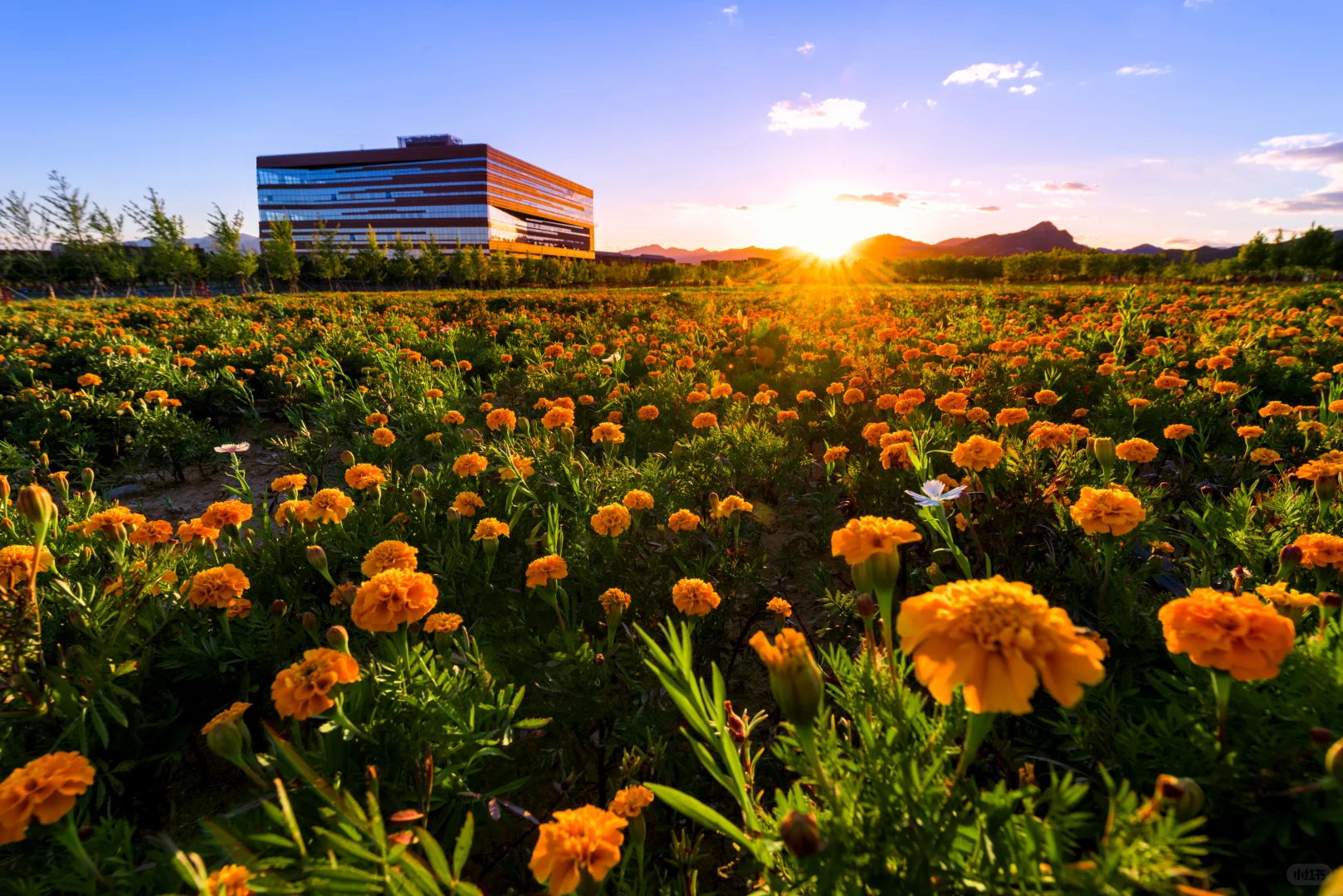 首都高校最美图书馆，北化自荐！