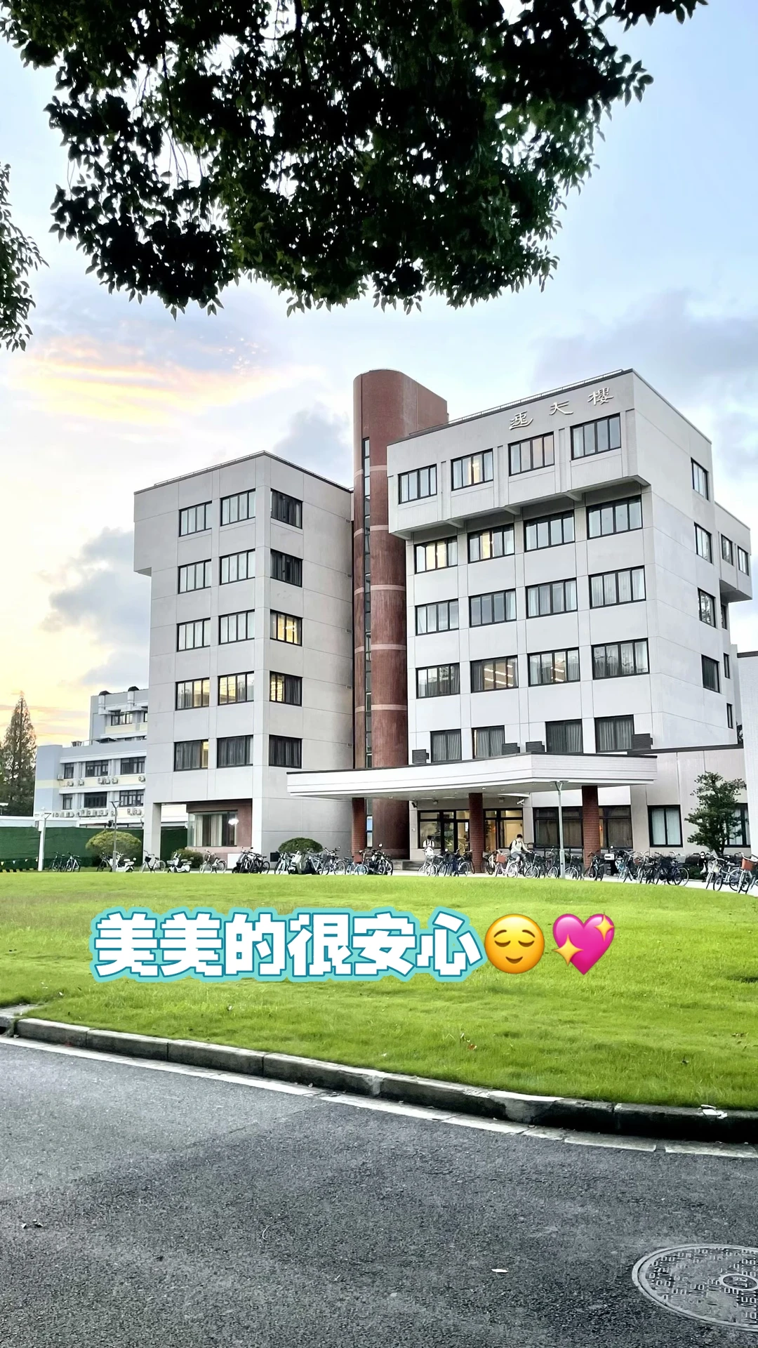 打卡复旦邯郸校区