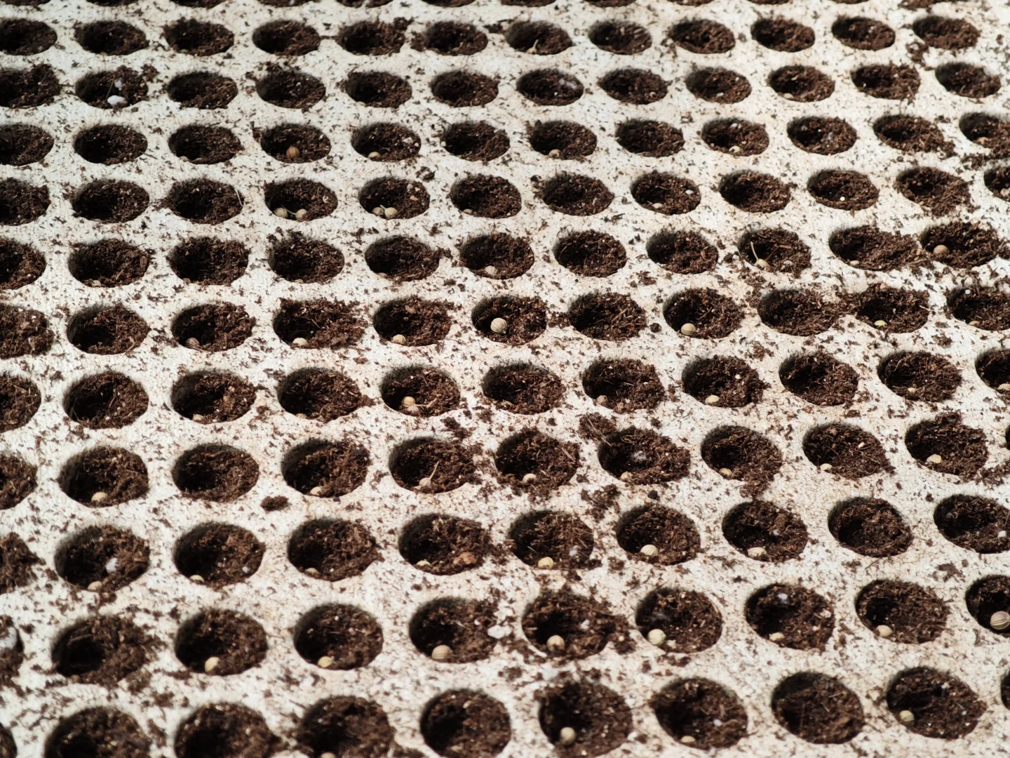 京东植物工厂参观：科技农业的硬核体验?