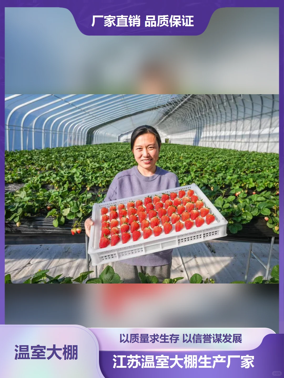 贵州温室大棚生产厂家