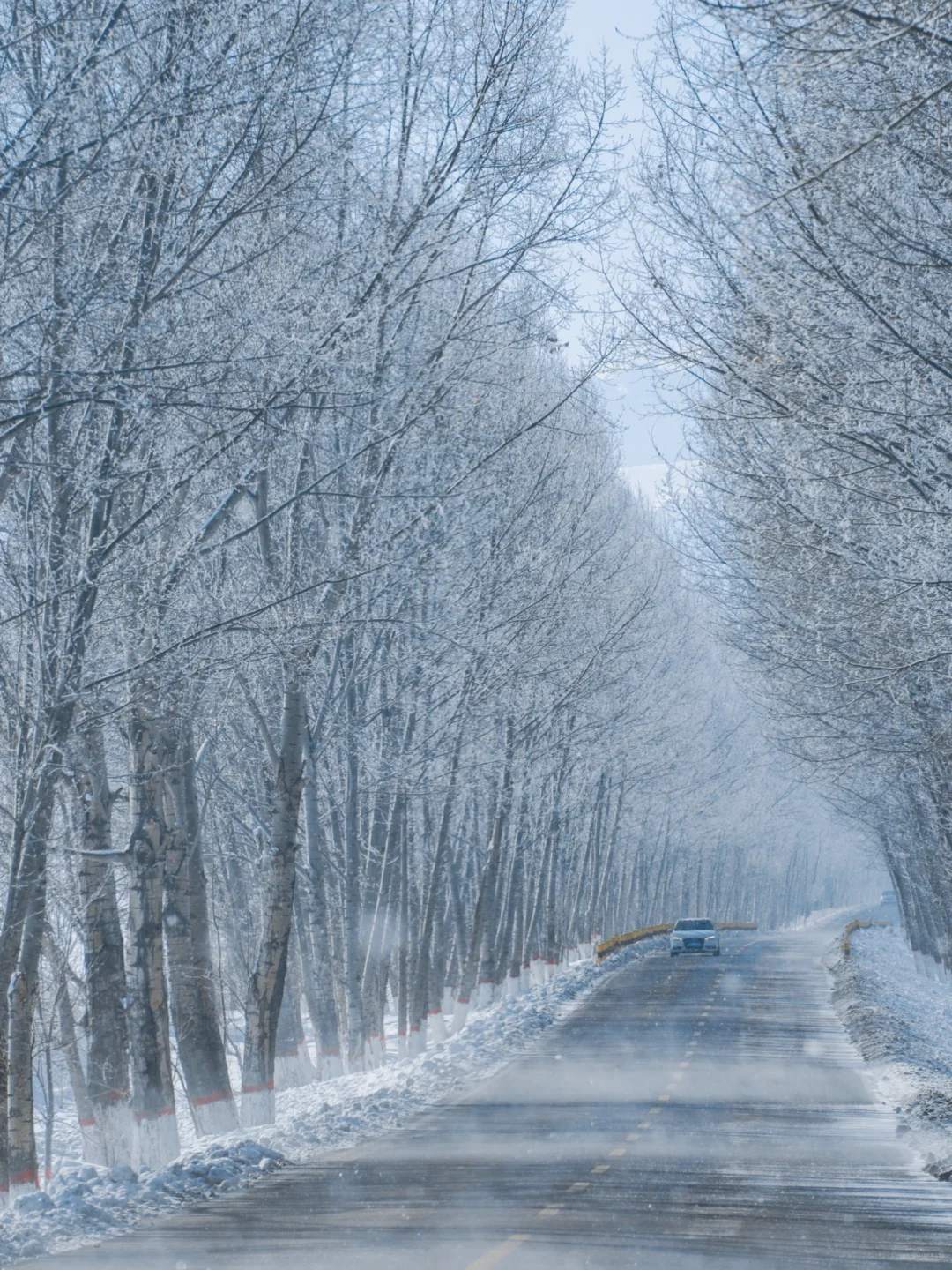 新疆踩线手记｜伊犁我最爱的冬天，原来在昭苏