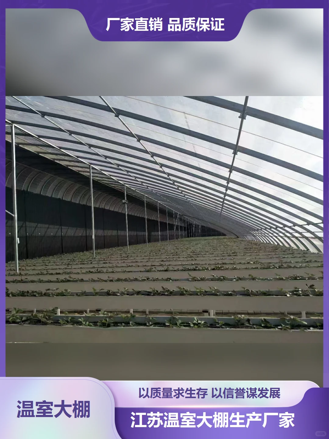 贵州西红柿大棚生产厂家