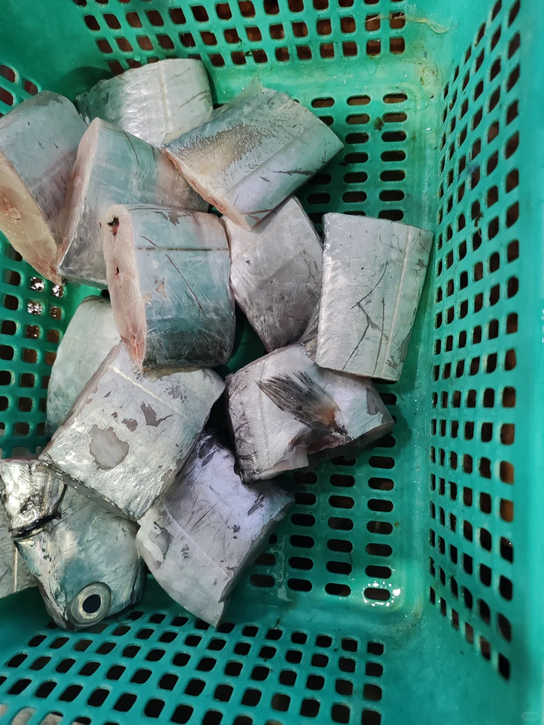 霞浦｜海鲜加工 （省钱又能吃到美味）