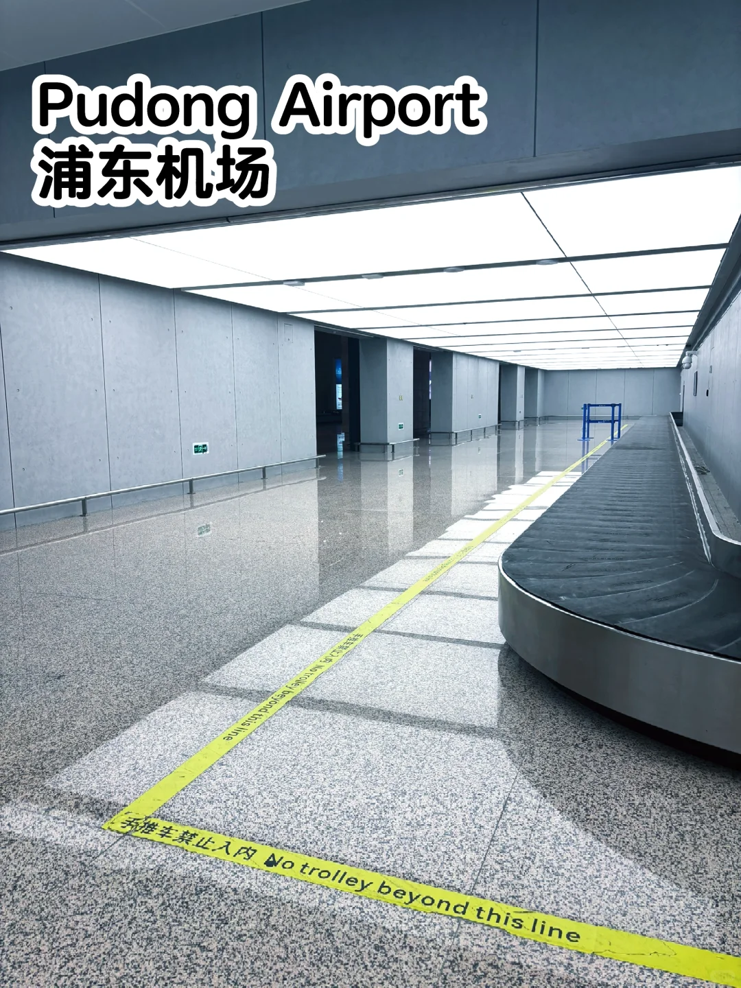 浦东机场T1新建的行李转盘？审美太顶了！