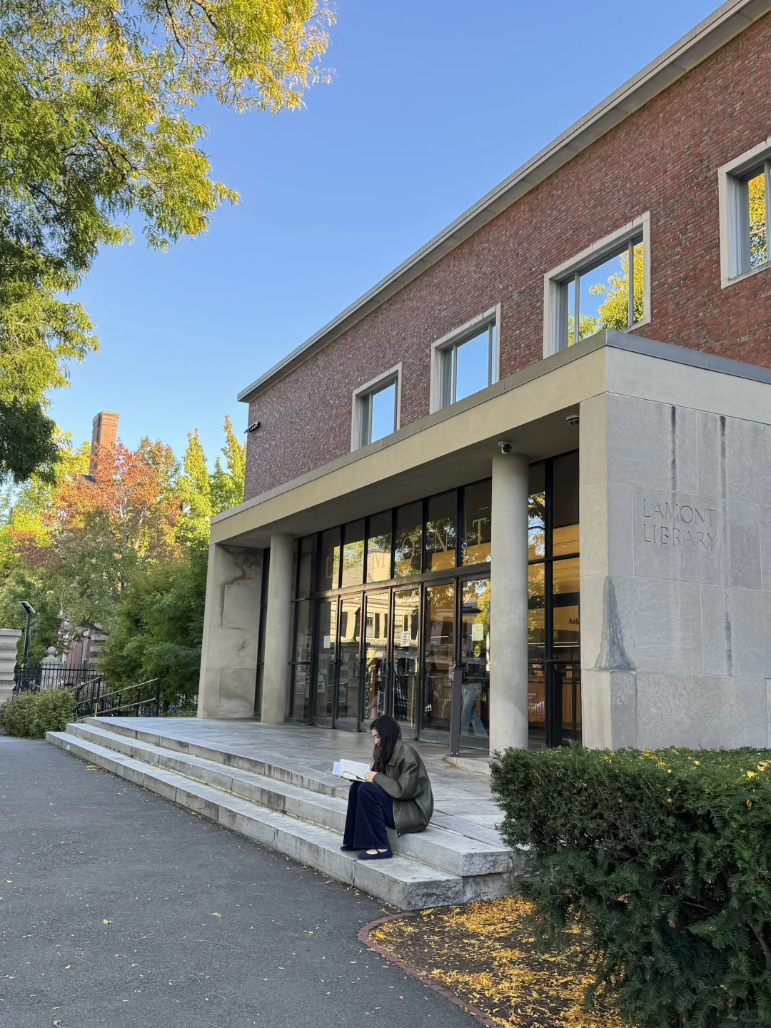 哈佛自习室打卡3: Lamont Library审美爆炸