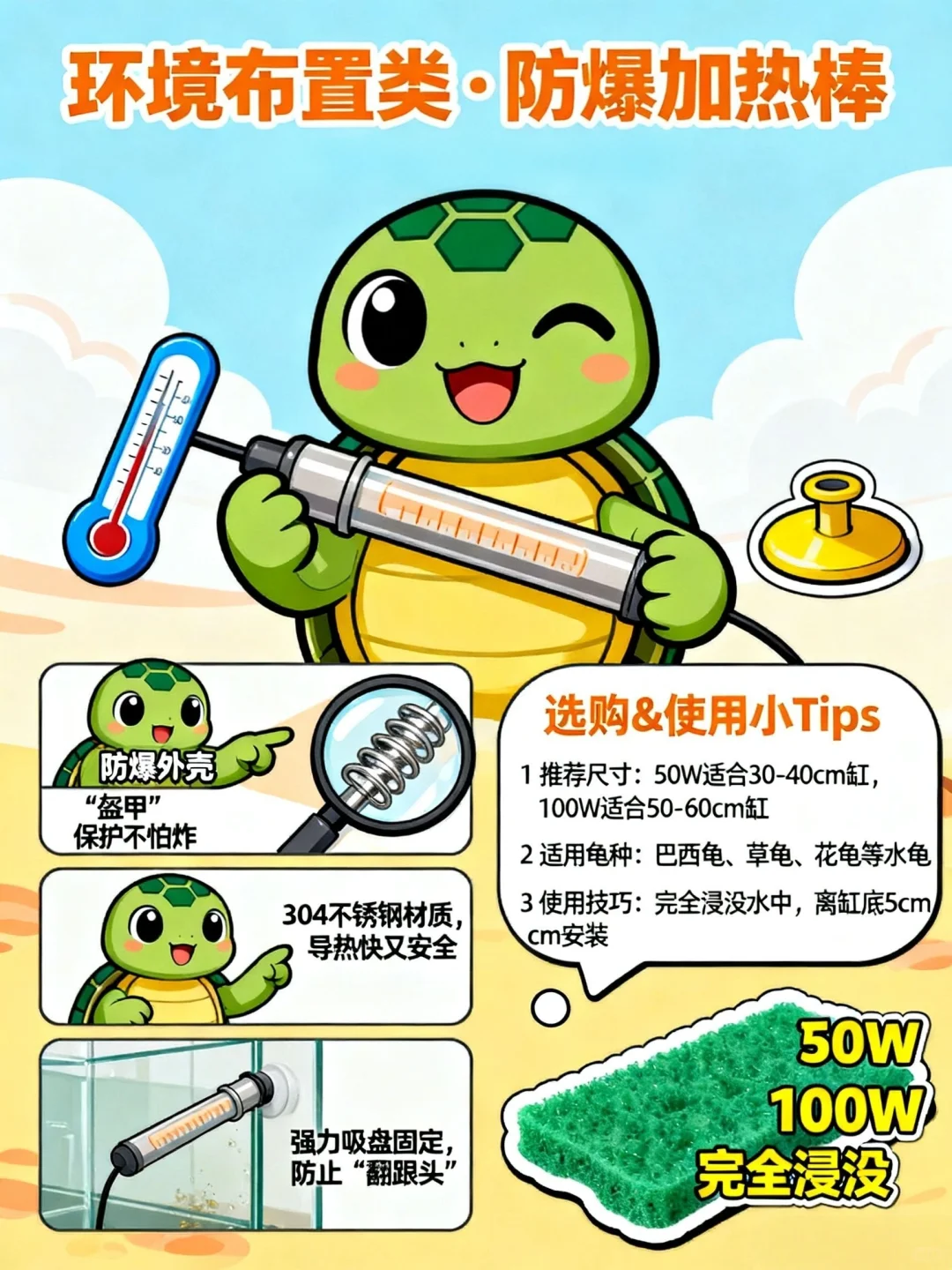 ?新手养龟不翻车！8件神器公开