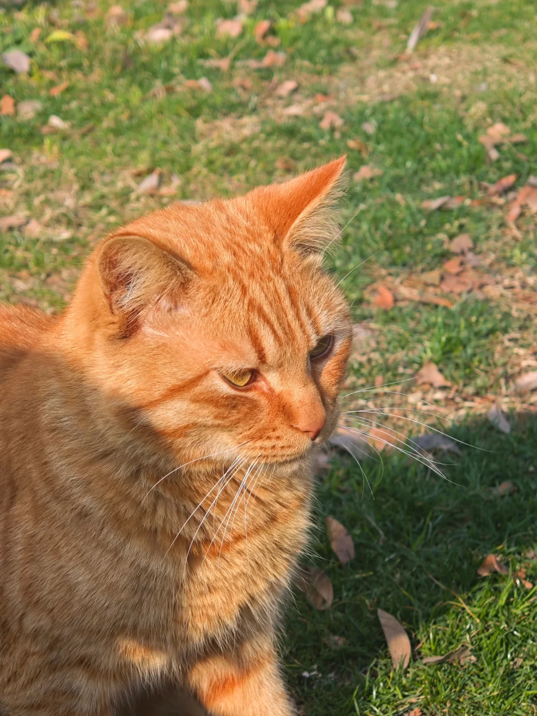 一百个赞离开图书馆