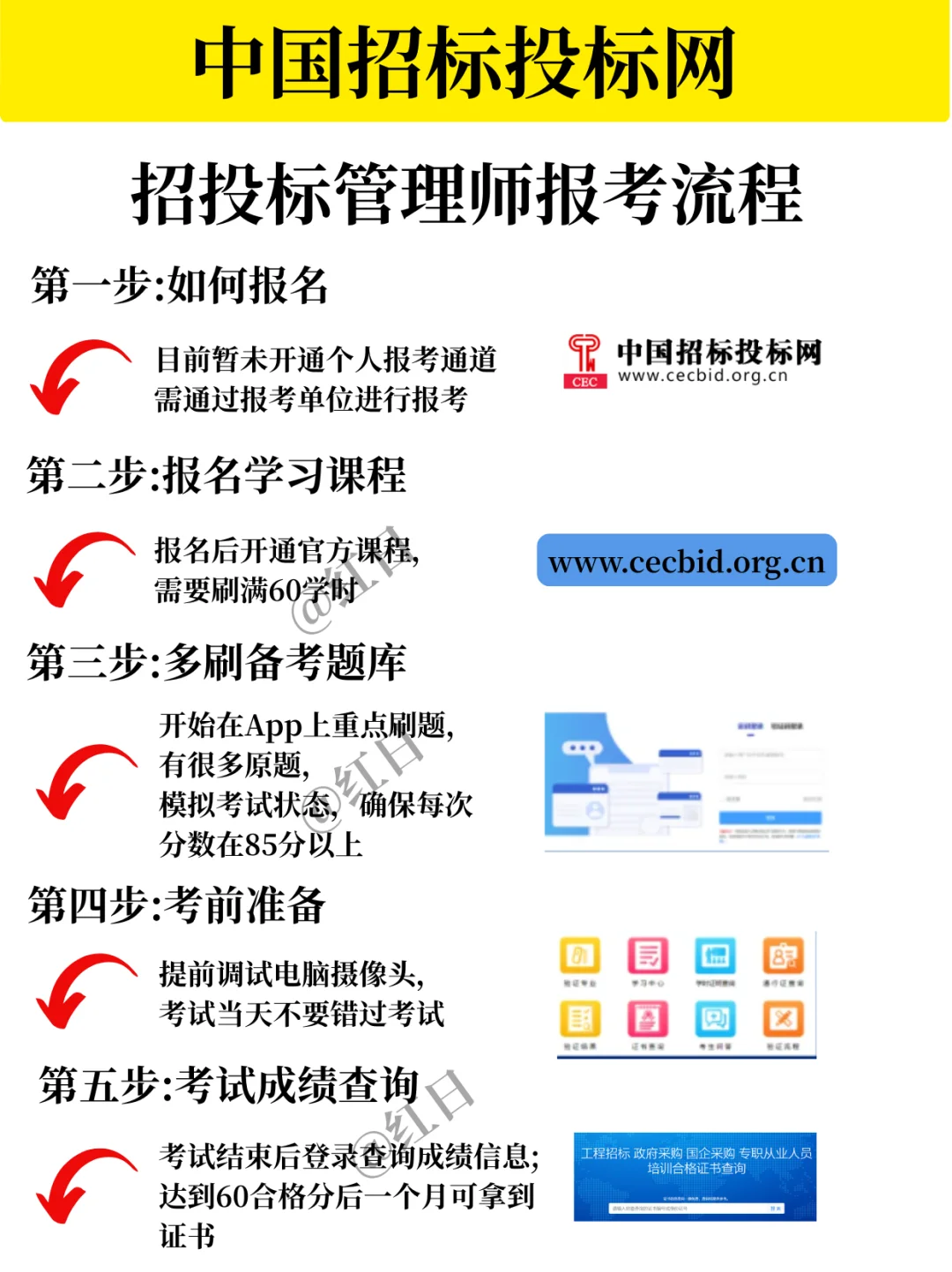 2025【招投标管理师】报考全流程