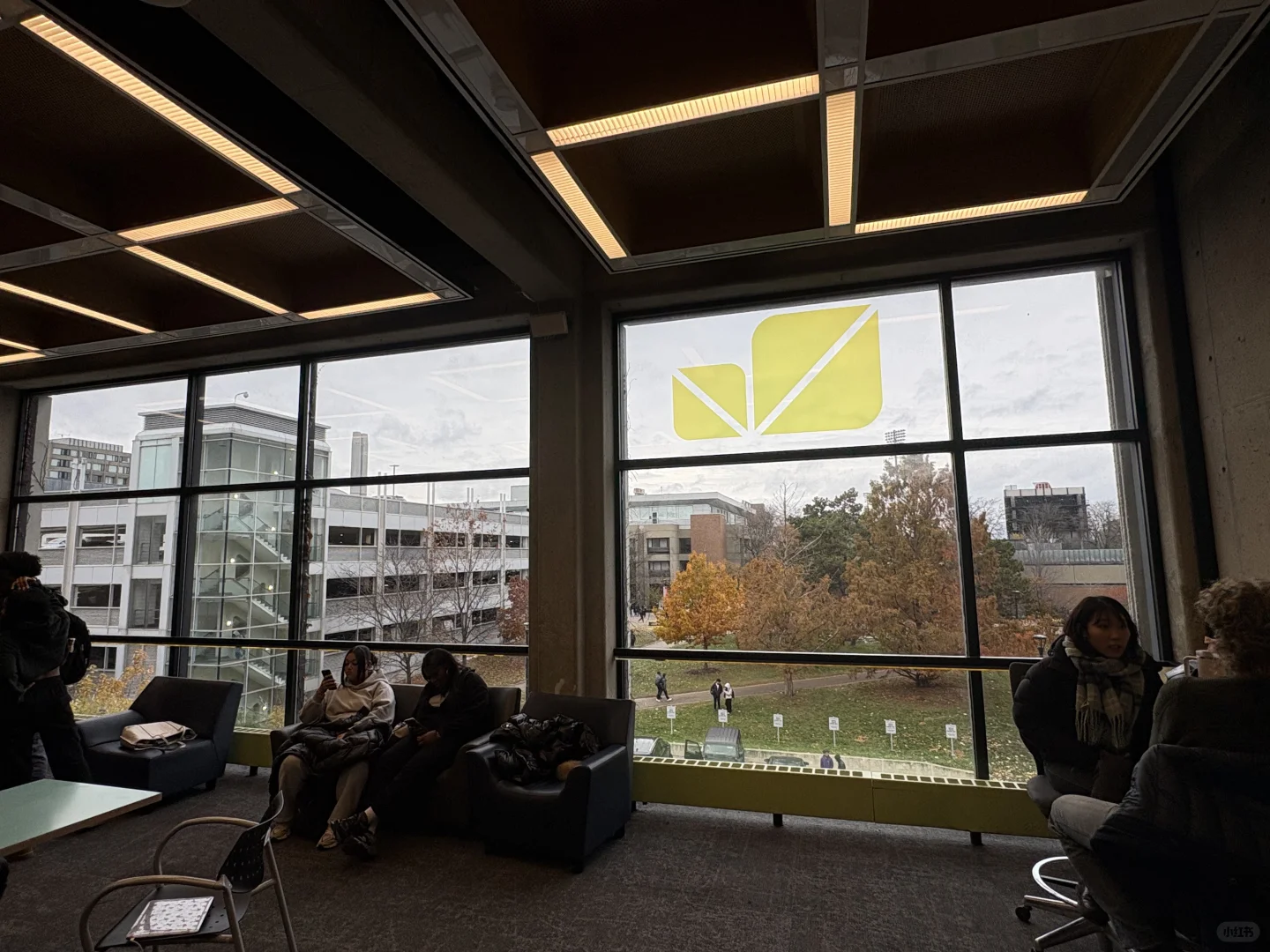 约克大学图书馆测评1 性冷淡监狱风Scott下