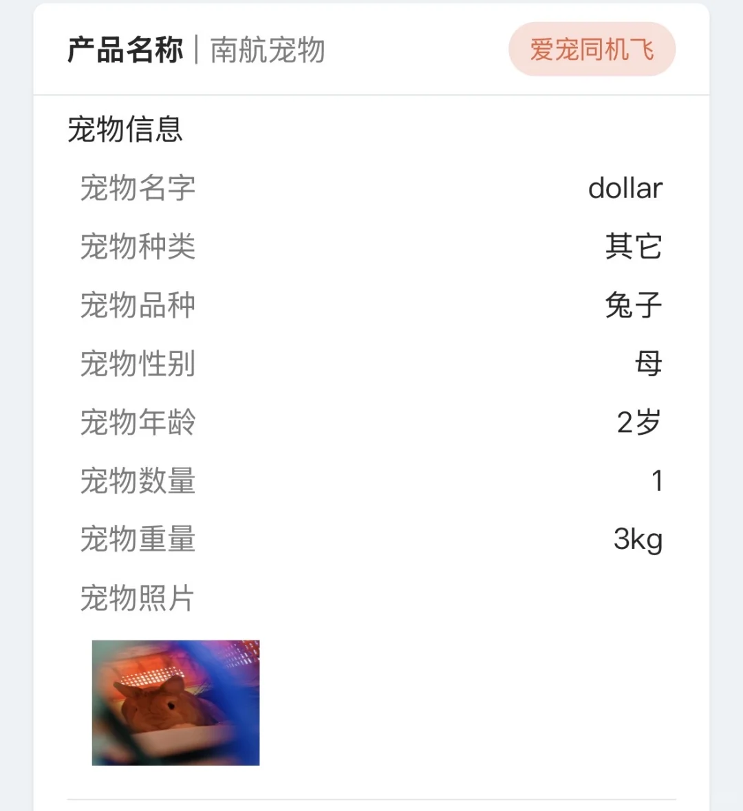 大兴机场宠物托运全过程 小兔坐飞机