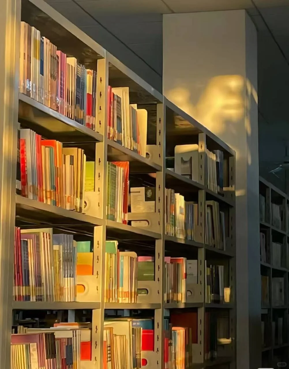 快来与大学校园续个火花吧！