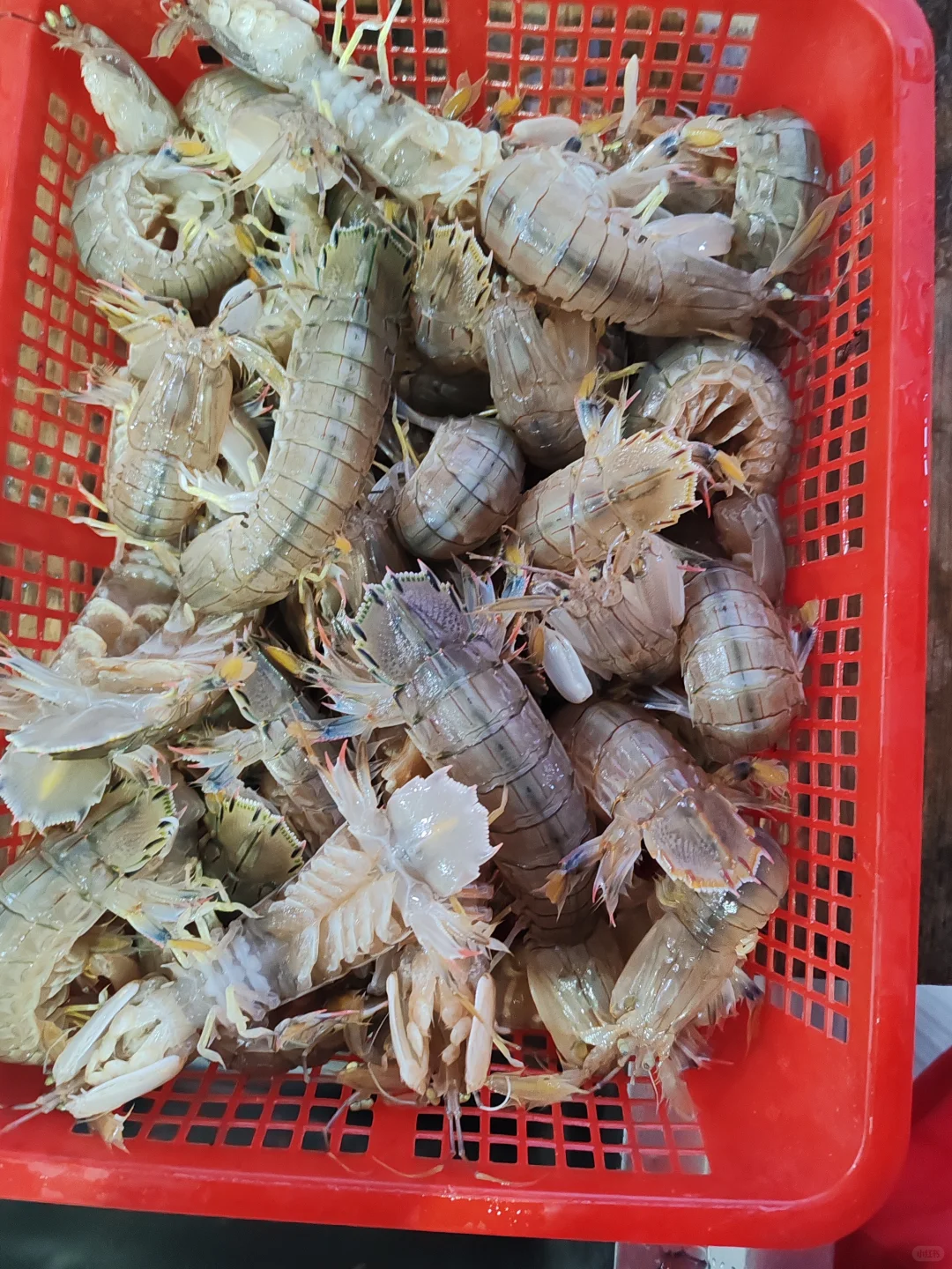 霞浦｜海鲜加工 （省钱又能吃到美味）