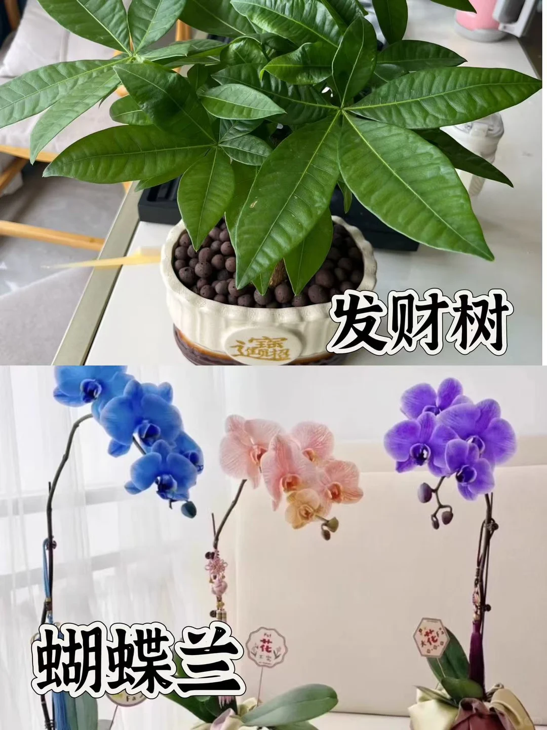 ?乔迁礼物不踩雷，超实用干货来袭！