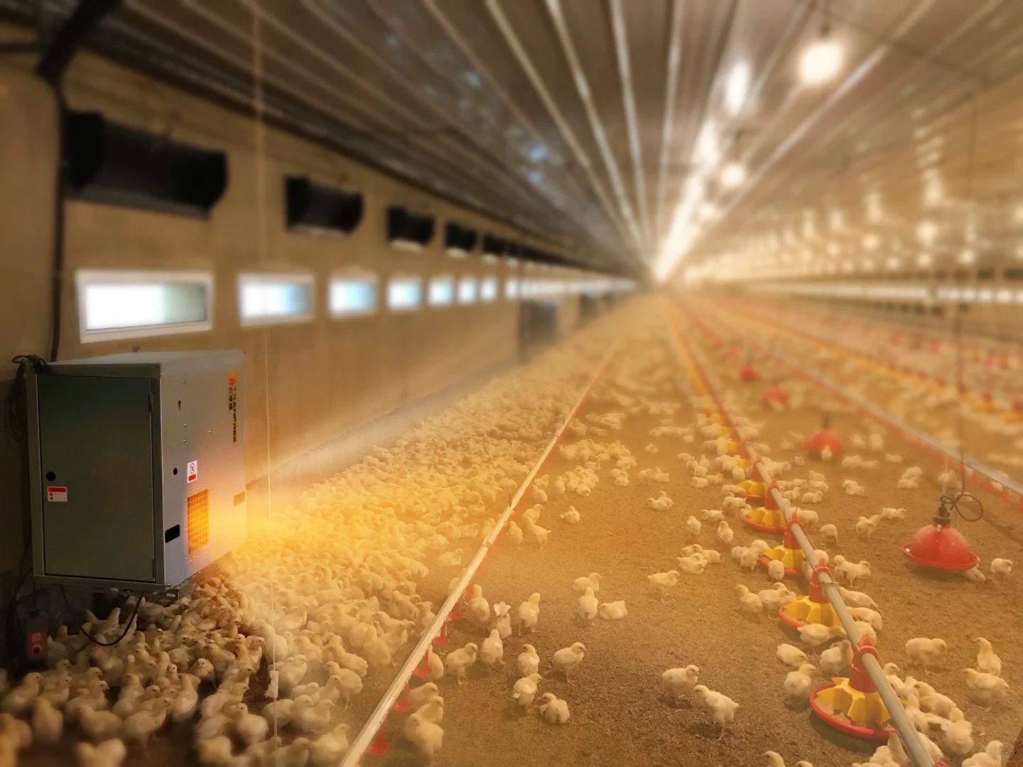 ?！养鸡人！终于挖到“供暖神器”！?