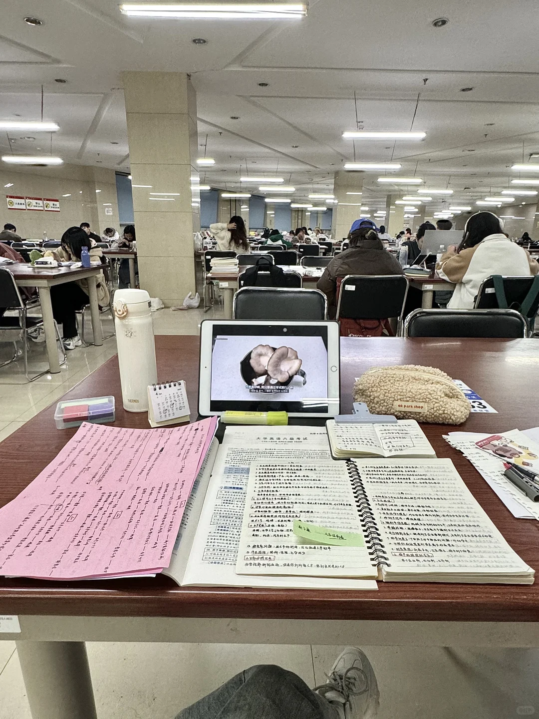 不开心就去图书馆呆一天