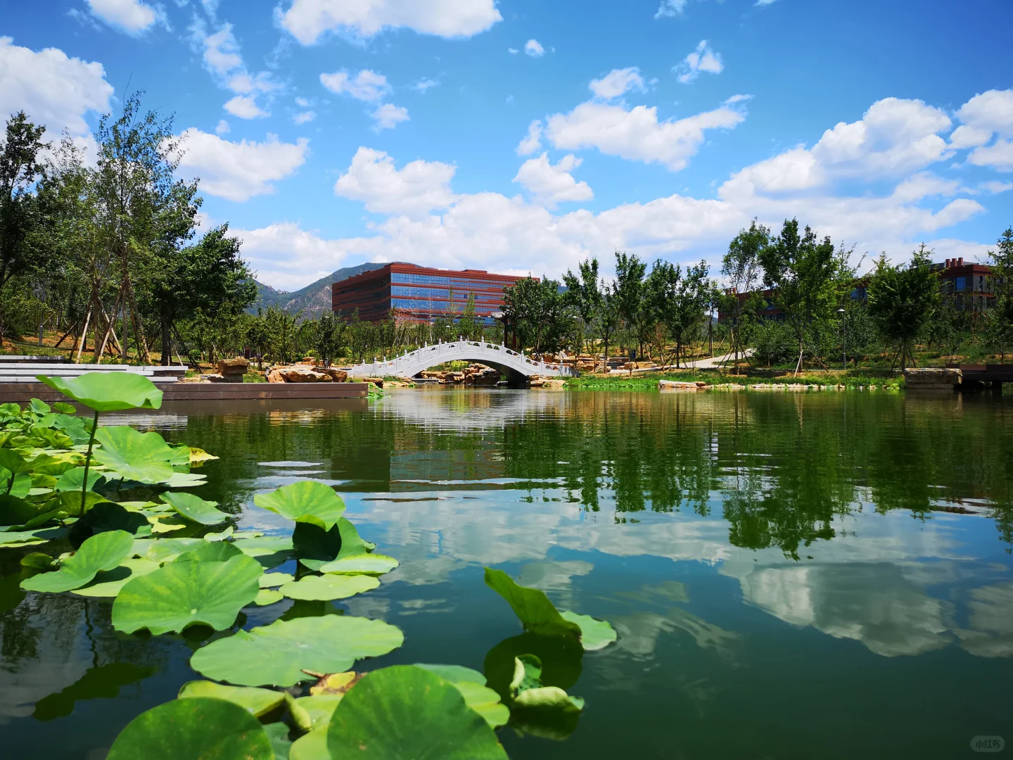 首都高校最美图书馆，北化自荐！