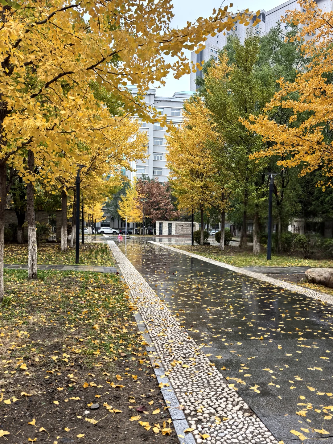 沈阳大学等你到来