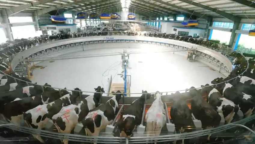 震撼！秦皇岛本地超大规模现代化智能牧场！