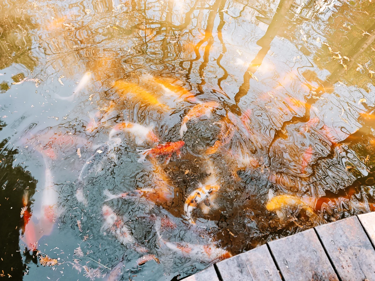 复旦大学-邯郸半日参观攻略