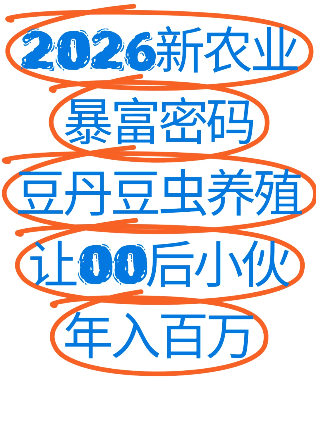 豆丹豆虫生态养殖，助力乡村振兴新选择?