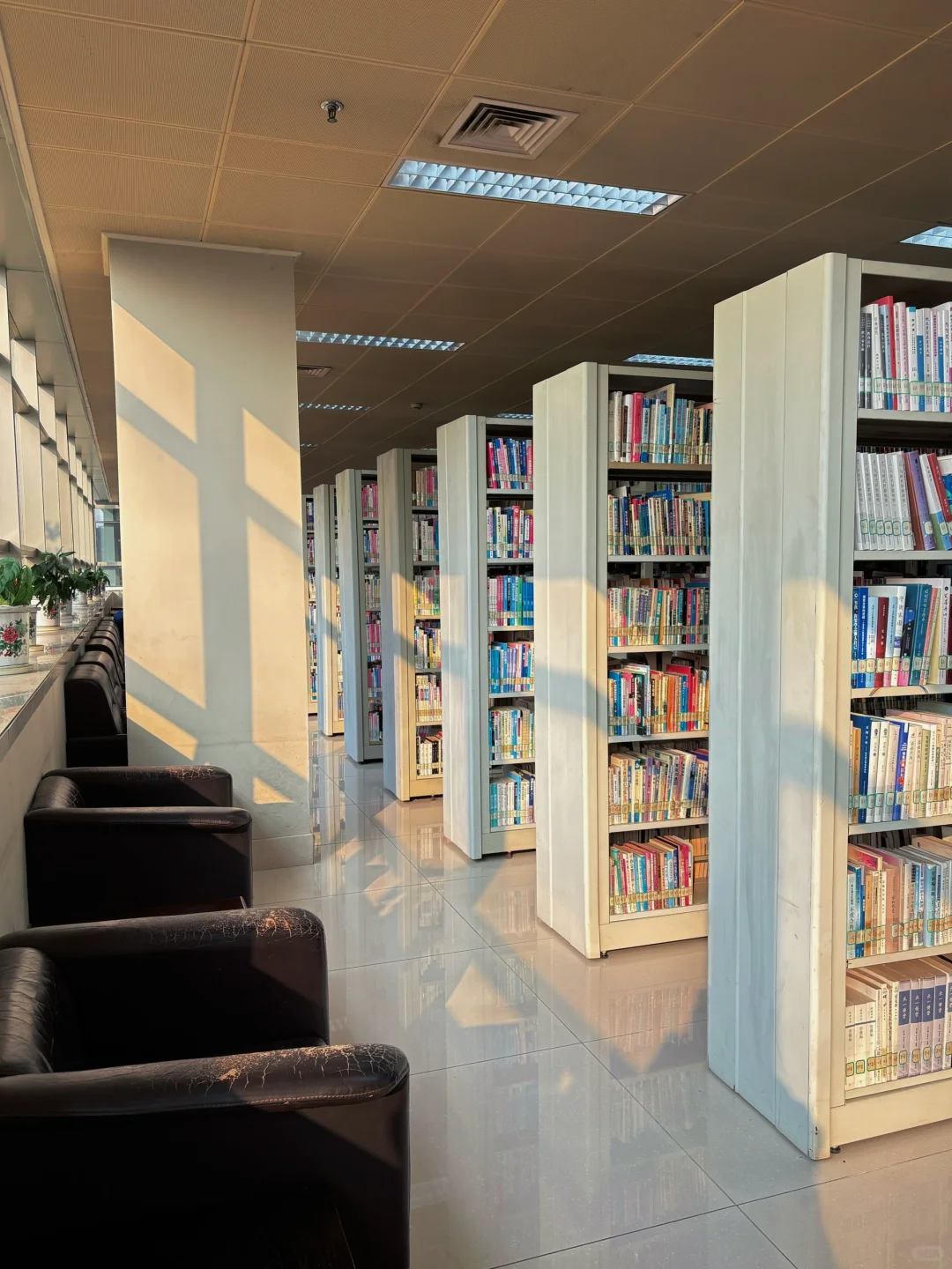 不止迪迦，图书馆里也有“光”的力量