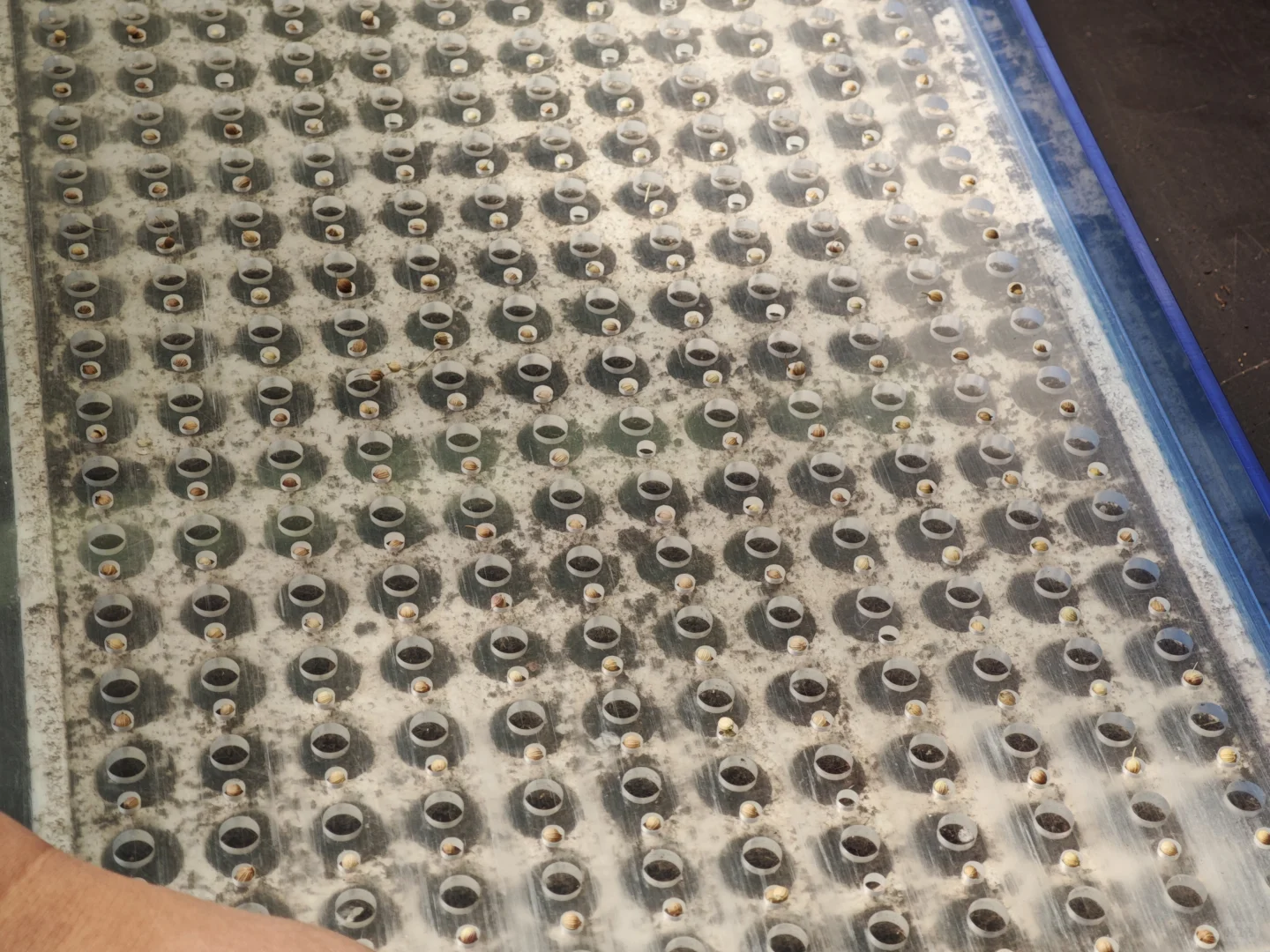 京东植物工厂参观：科技农业的硬核体验?