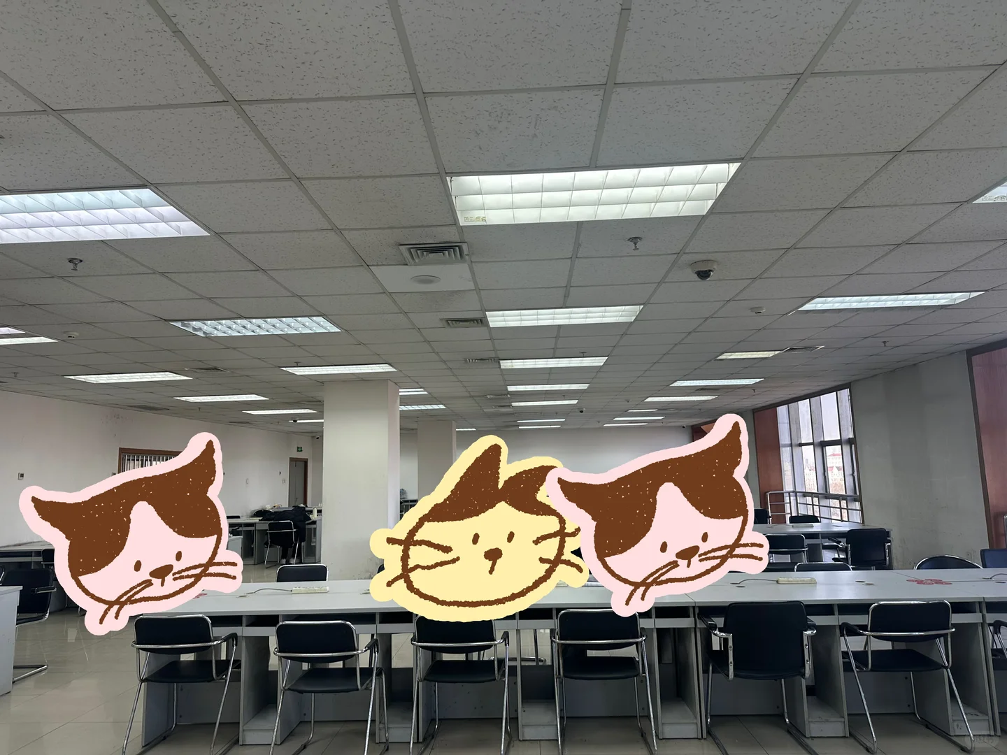 河北农业大学有声朗读室真挺不错