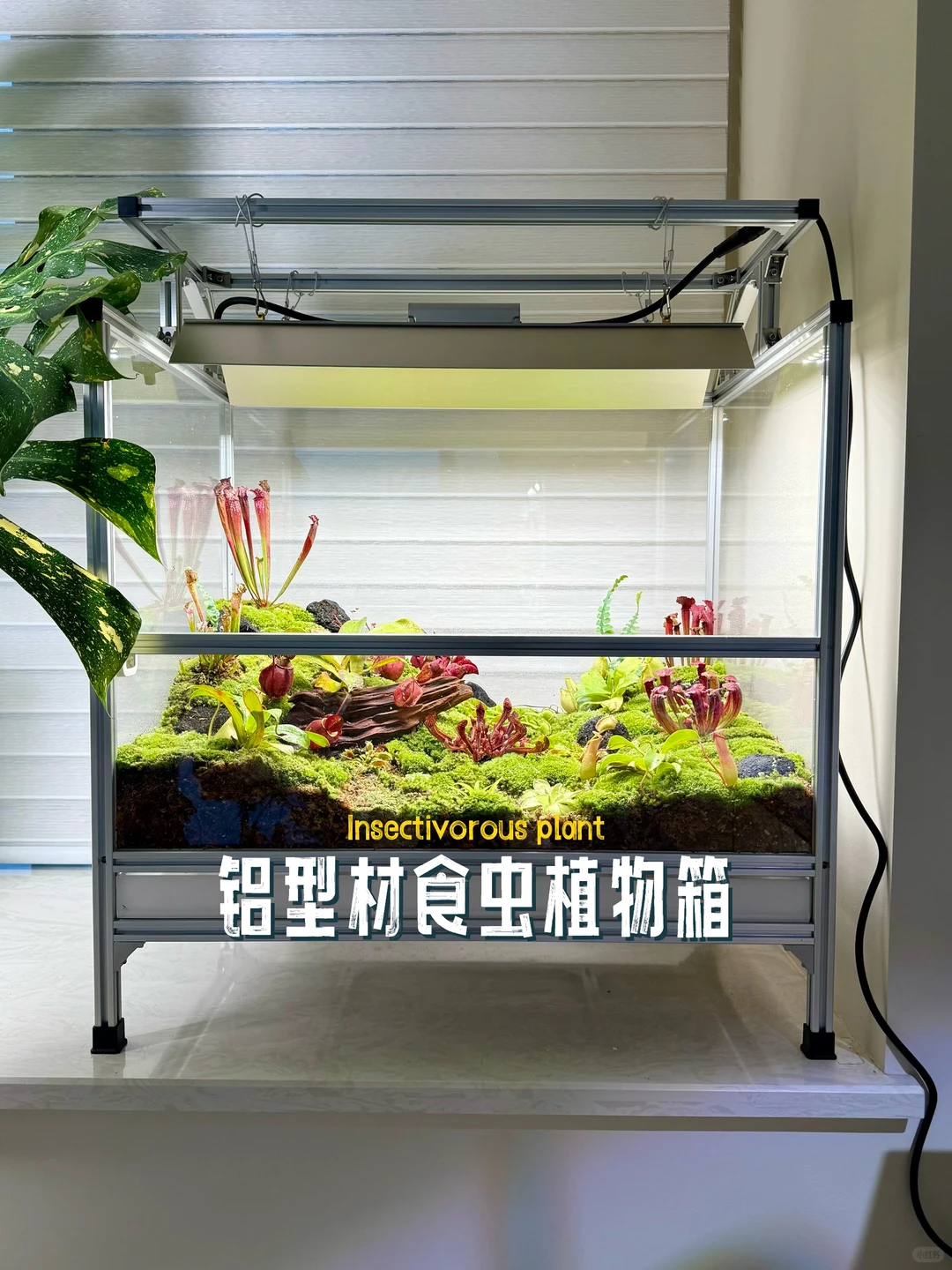 原创铝型材｜食虫植物养殖箱 材料清单