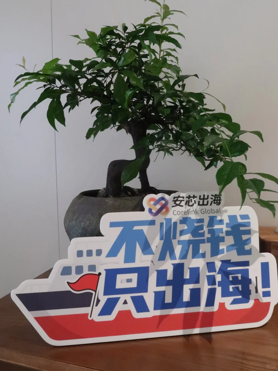 ?出海龙门阵第二期回顾｜掘金非洲