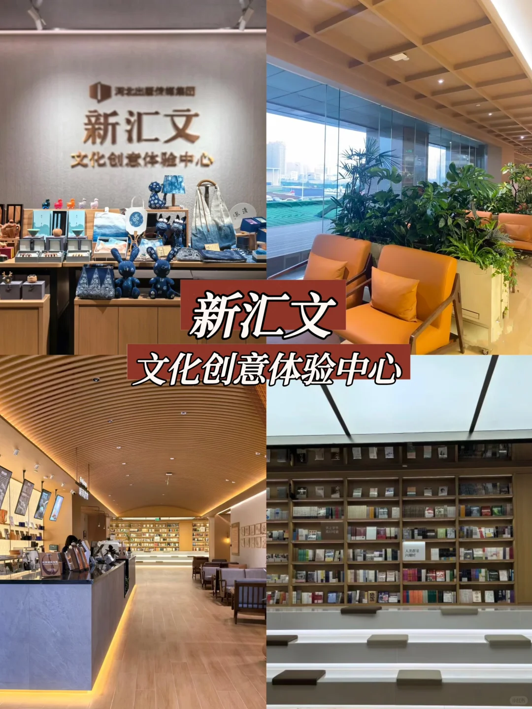 石家庄20家图书馆集锦，周末给大脑充个电