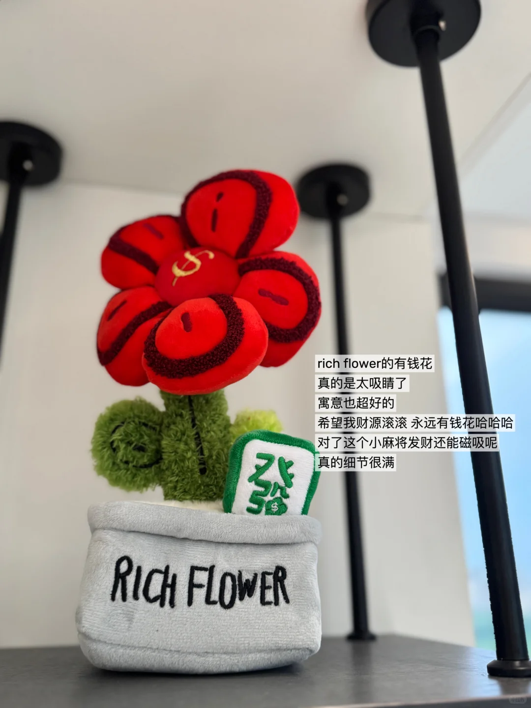 那些送到我心巴上的乔迁礼物！?