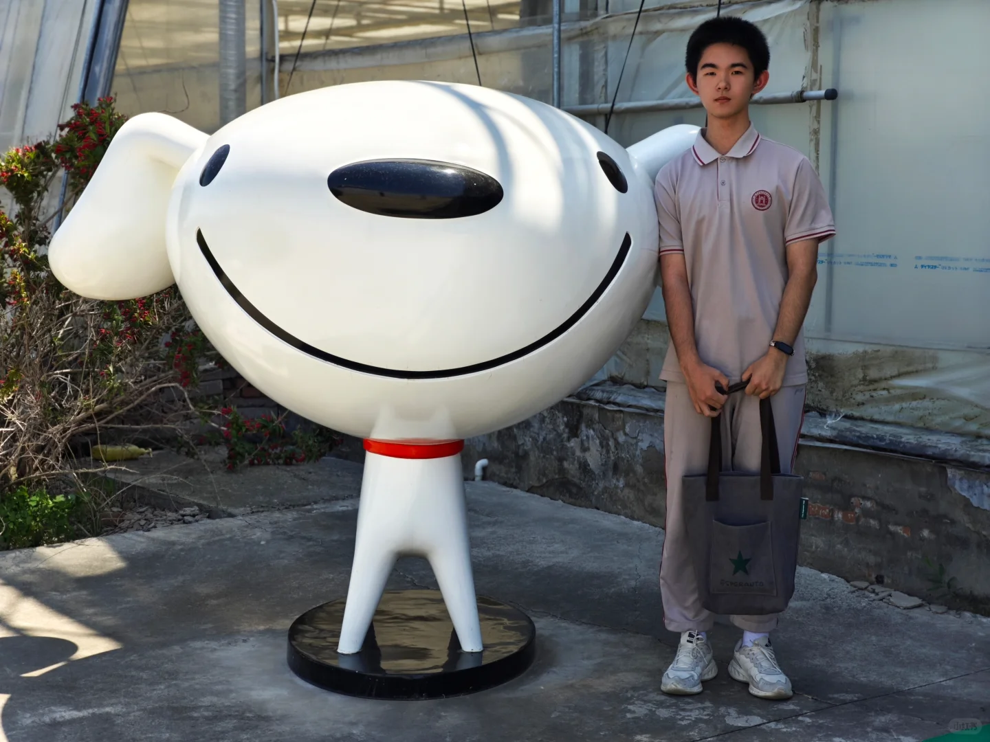 京东植物工厂参观：科技农业的硬核体验?