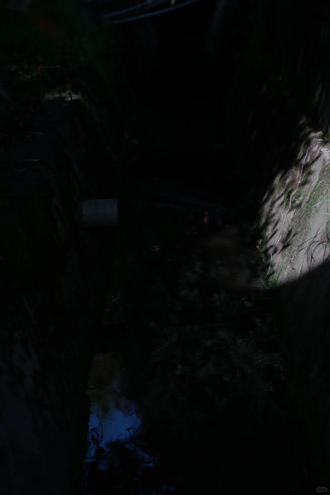 阳光洒进大棚的幸福感