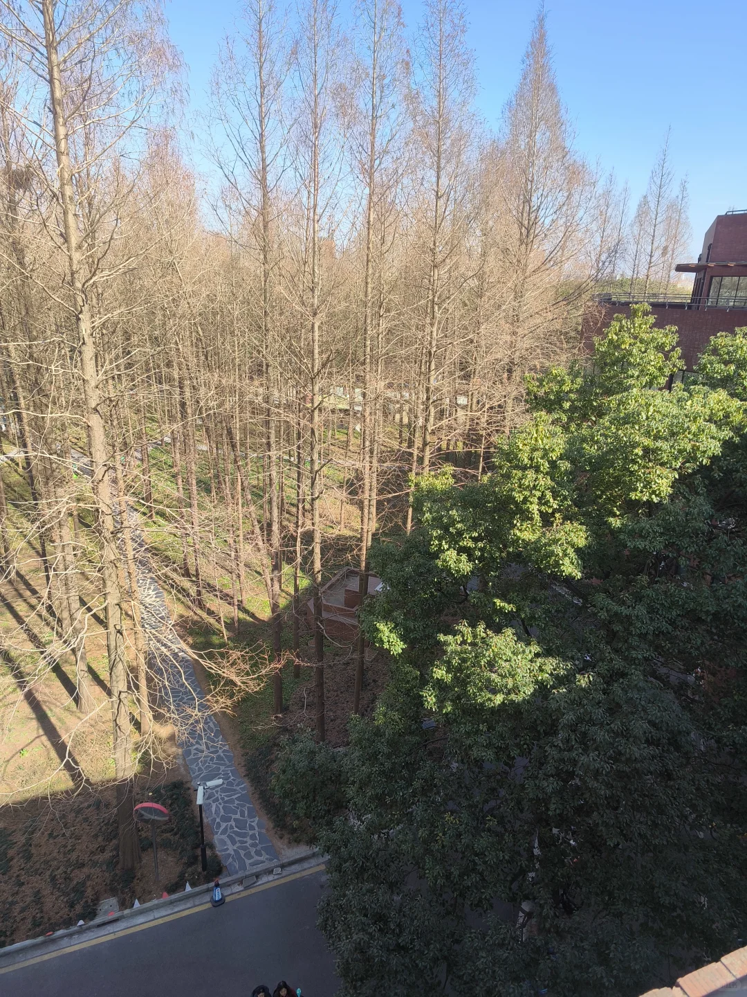 期末考试后的上海交通大学图书馆