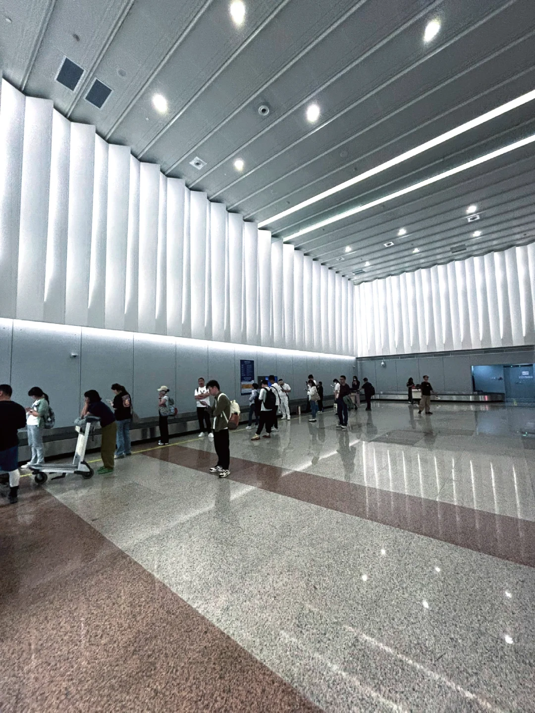 浦东机场T1新建的行李转盘？审美太顶了！