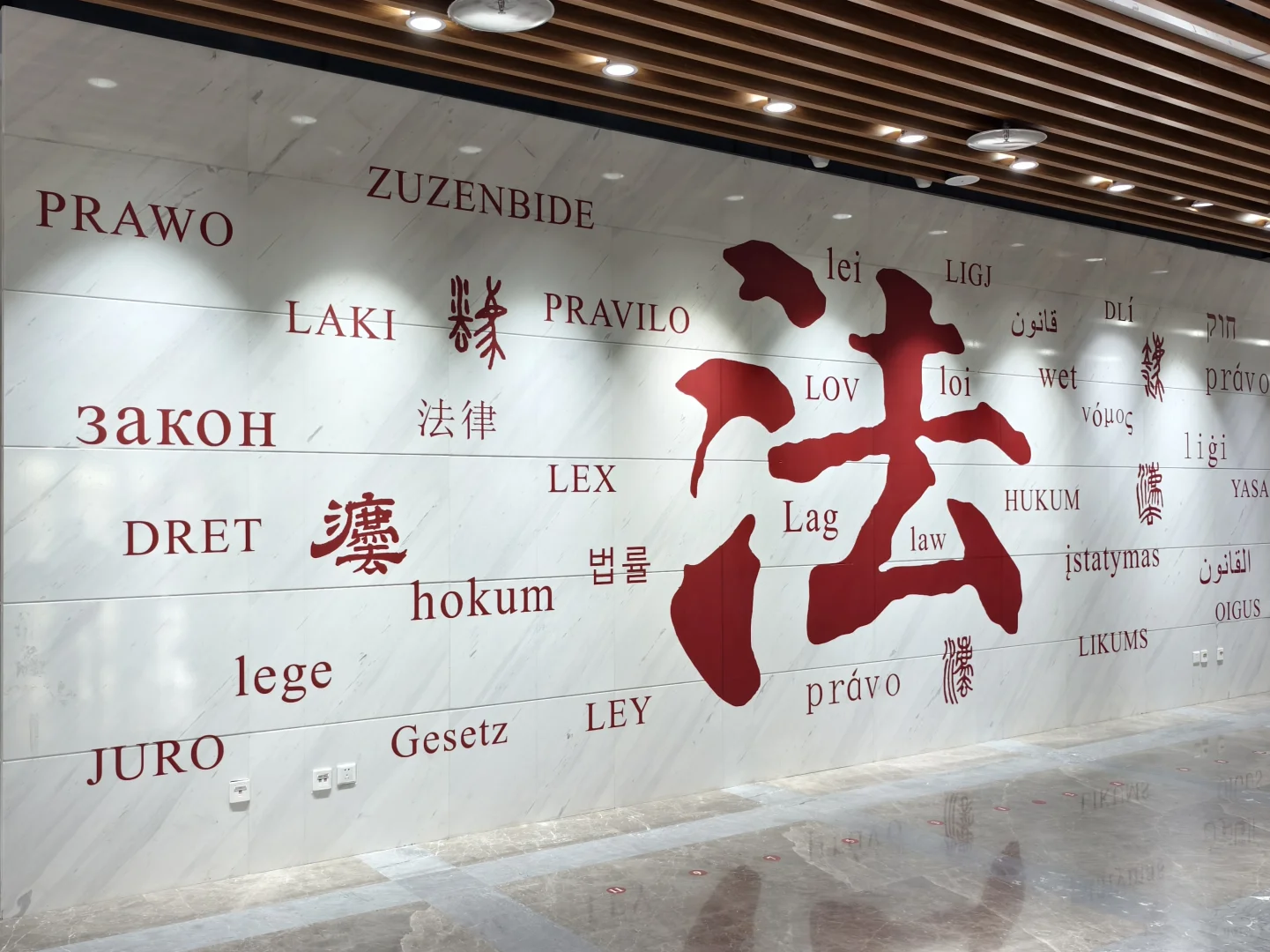 漫卷·象牙塔：中国政法大学丨图书馆