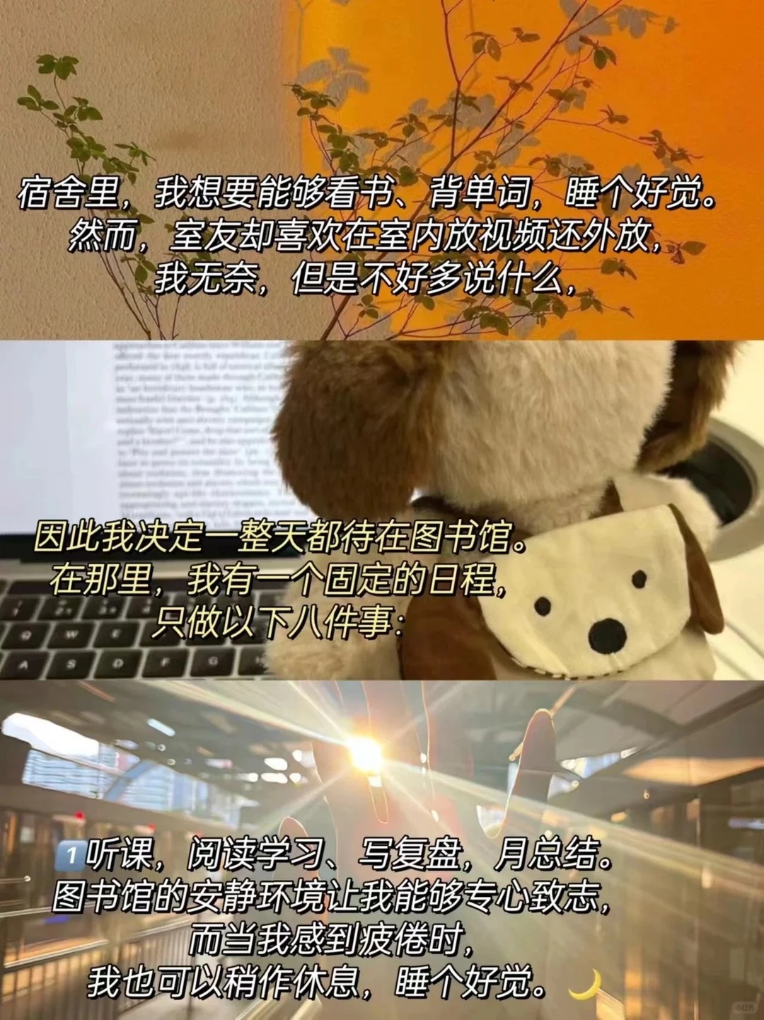 终于知道为什么有人能在图书馆学一整天