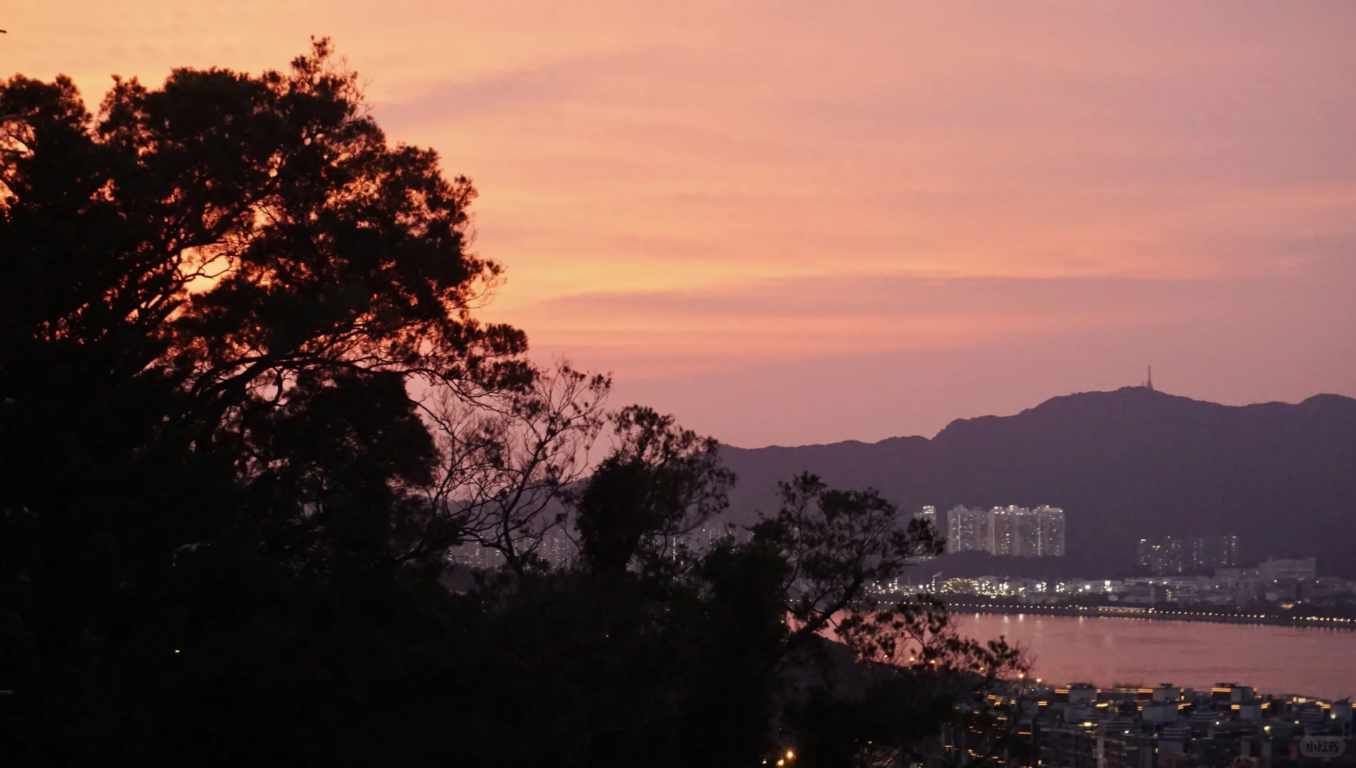 被书围抱着 像在家一样安心