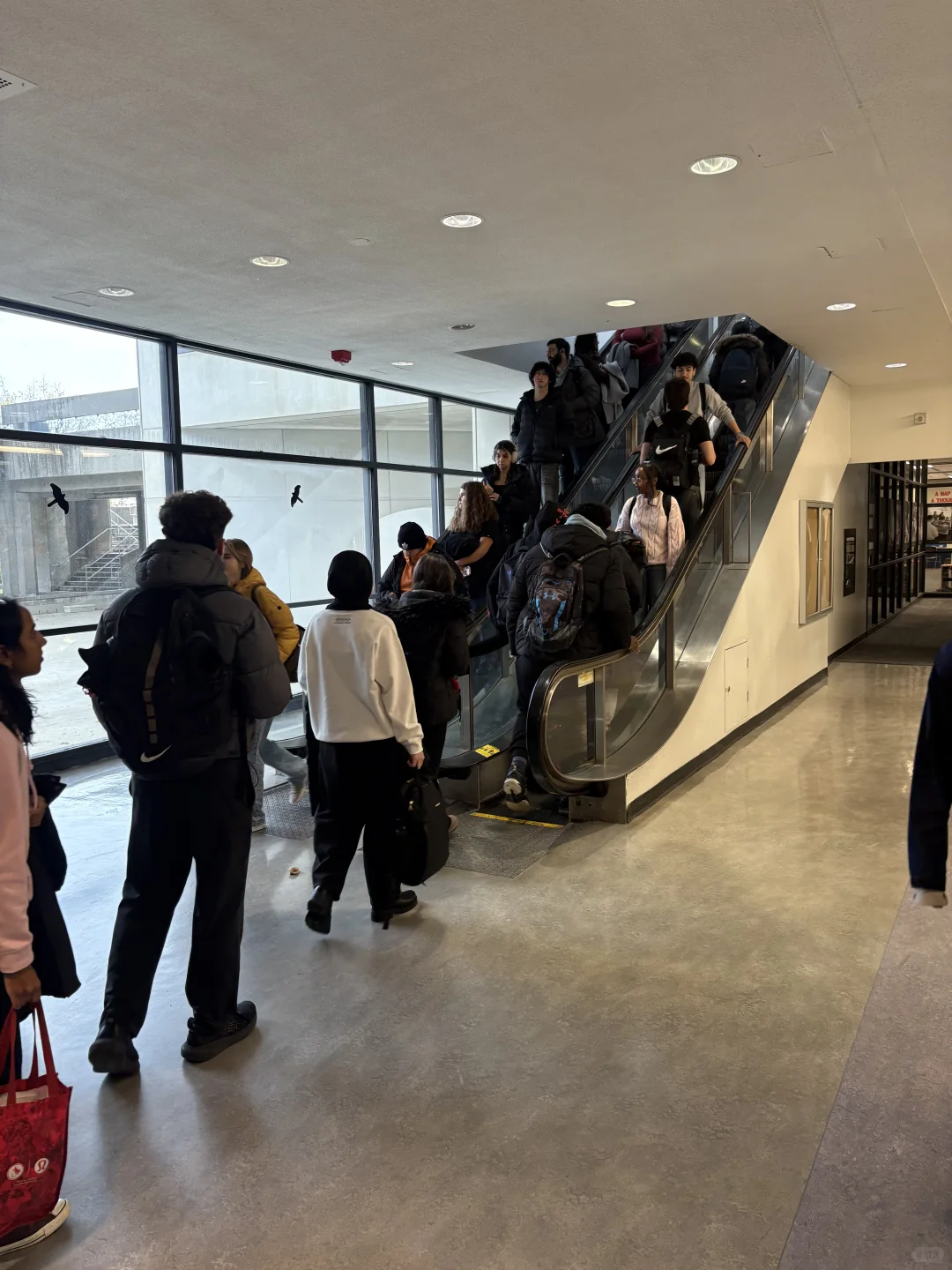 约克大学图书馆测评1 性冷淡监狱风Scott下