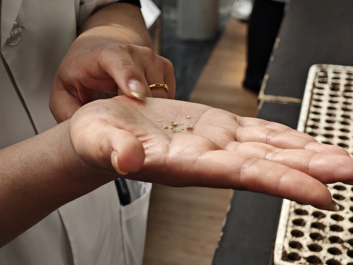 京东植物工厂参观：科技农业的硬核体验?