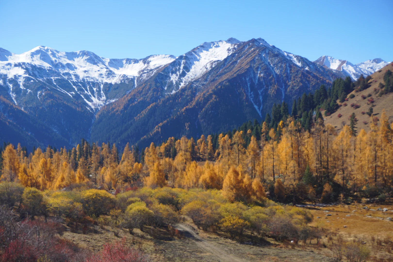 川西系列～小金～大坪牧业村～龙头滩
