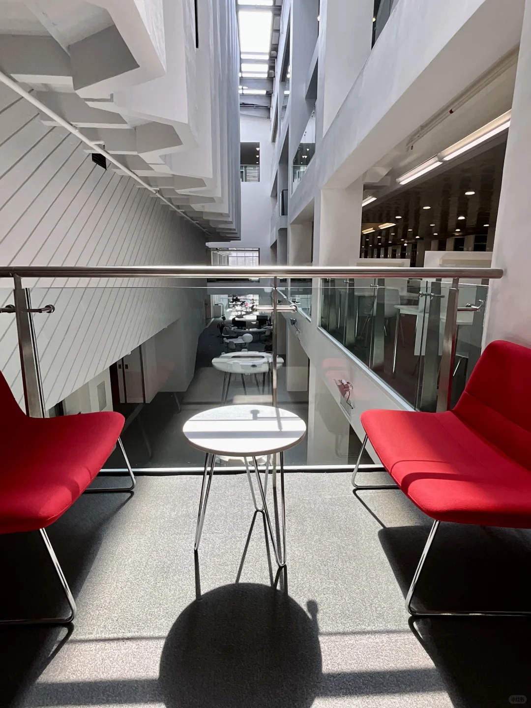 被书围抱着 像在家一样安心