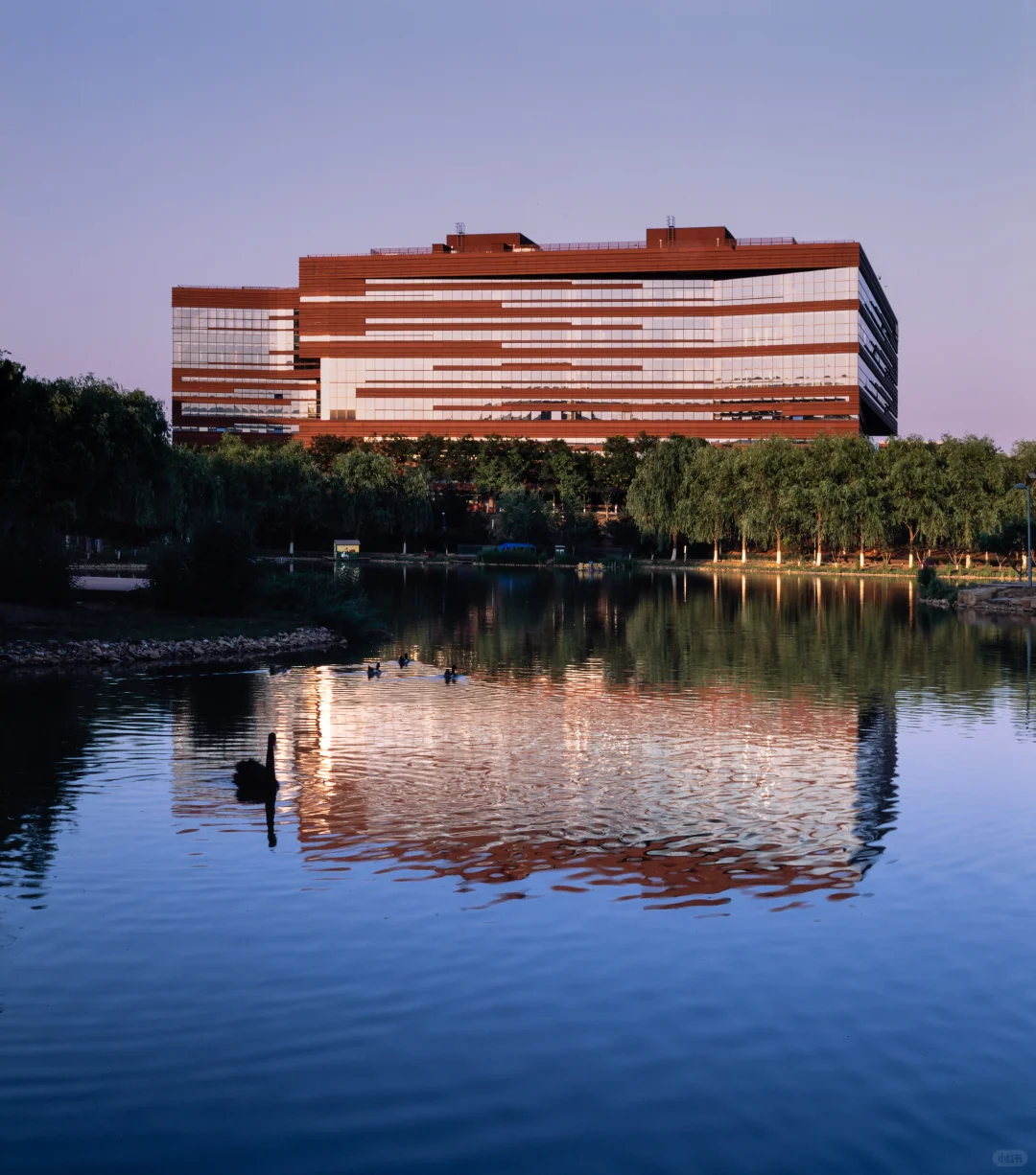 首都高校最美图书馆，北化自荐！